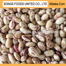 Kidney beans market price in china